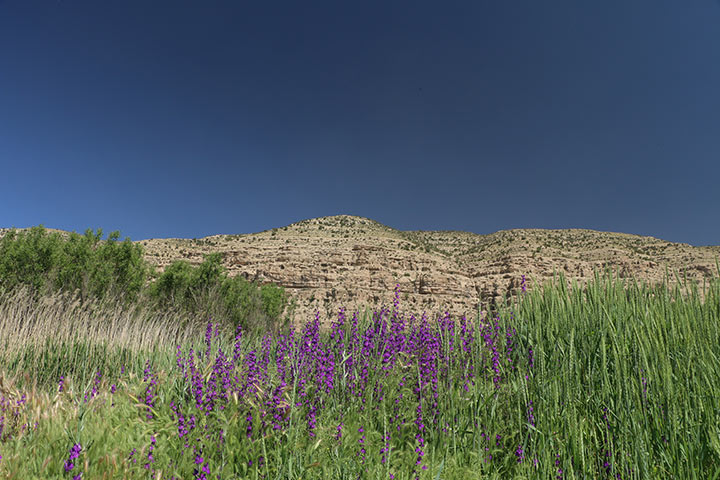 Nature tourism in Arjan plain - Photo by Vahid Bahadori