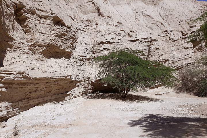 راهنمای سفر به قشم