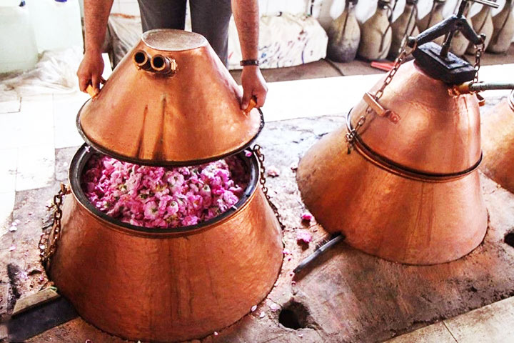 Kashan rose water traditional method