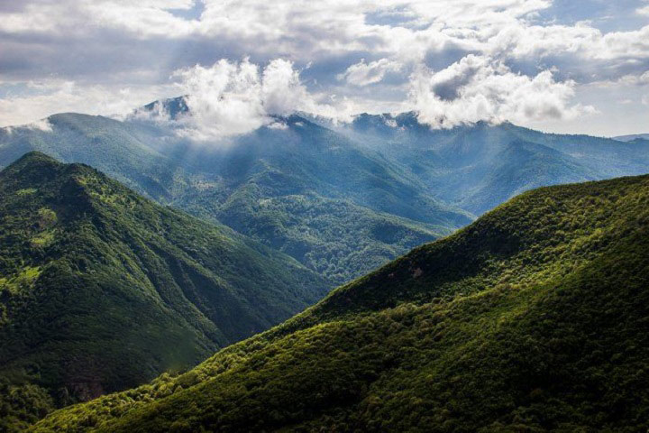 Photo by Amir Haririchi - ISNA - Shahroud Cloud Forest