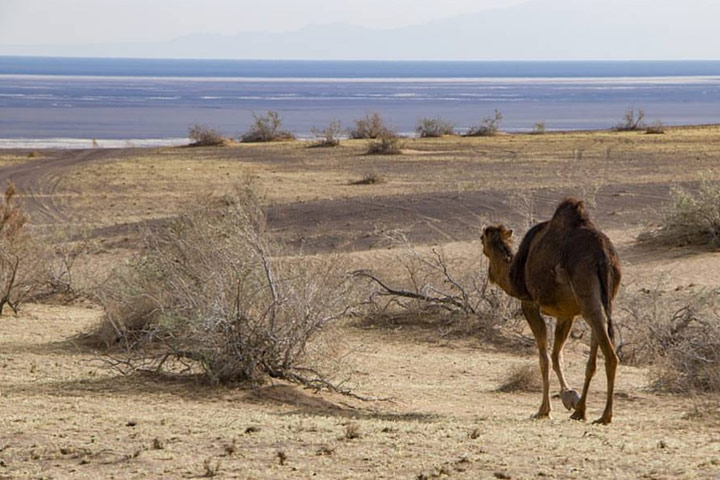Marnjab Desert - Photo by Amir Hossein Keshavarz