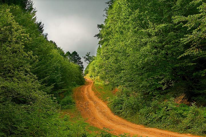 Photo by Farzad Kokbzadeh