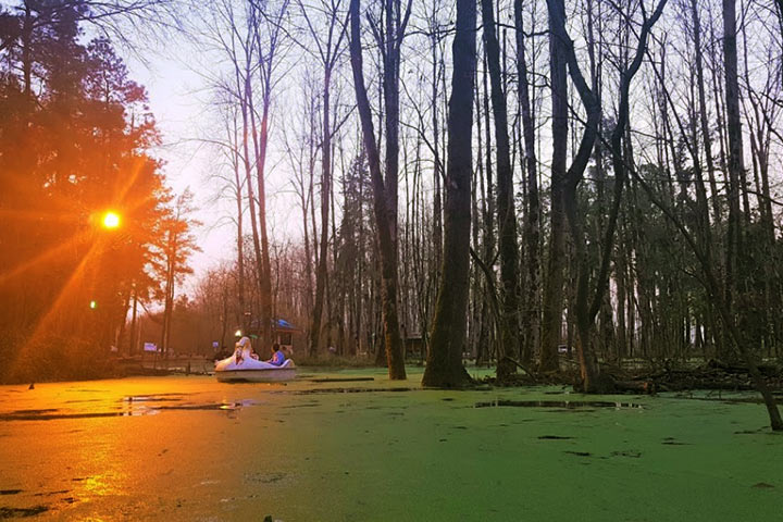 Saravan Rasht Forest Park - Photo by Alireza Khalilian