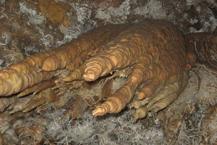 Ali Sadr Cave - Dragon Claw