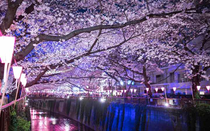 Asia - Tokyo Tourist Attractions