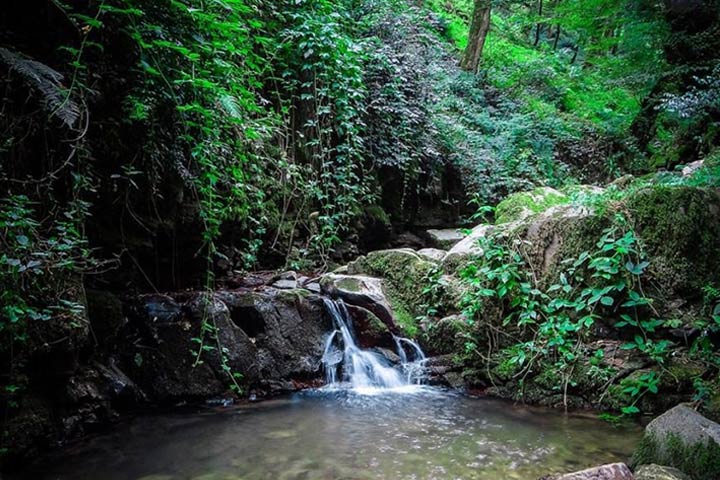 Jogging in Loonak Falls