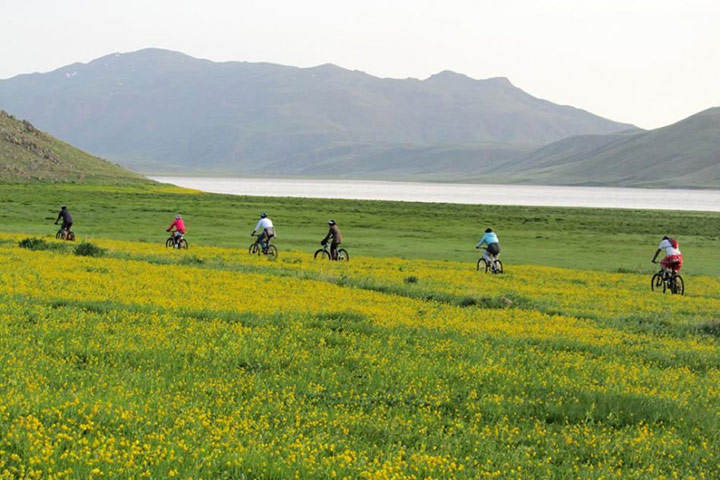 Neor from the lakes of Iran - the lakes of Iran