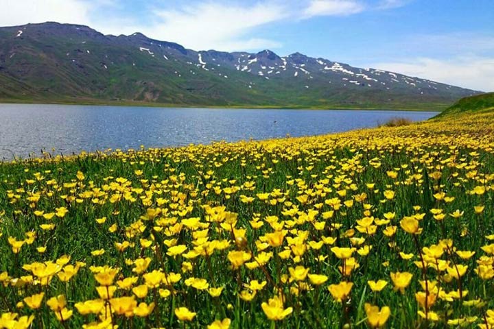 نئور از دریاچه های ایران - دریاچه های ایران