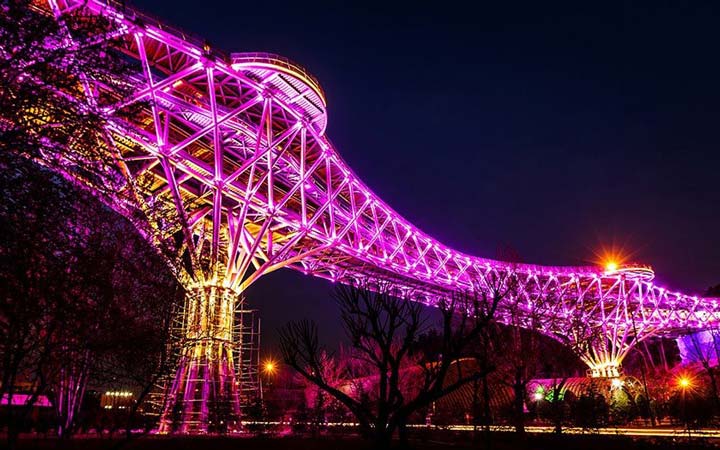 Walking on the Nature Bridge - Night
