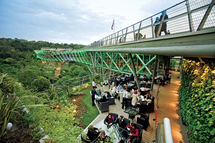 Walking on the Nature Bridge - Spring
