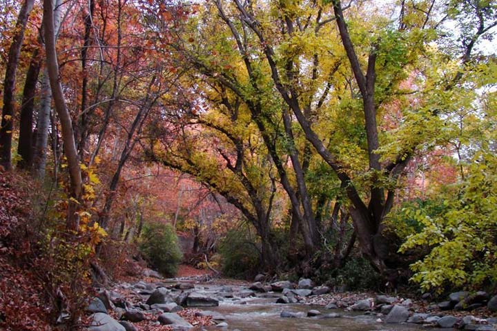 Barghan - A day trip around Tehran