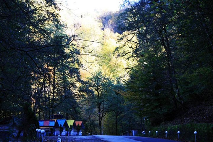 Abbas Abad forest road is one of the sights of Kelardasht