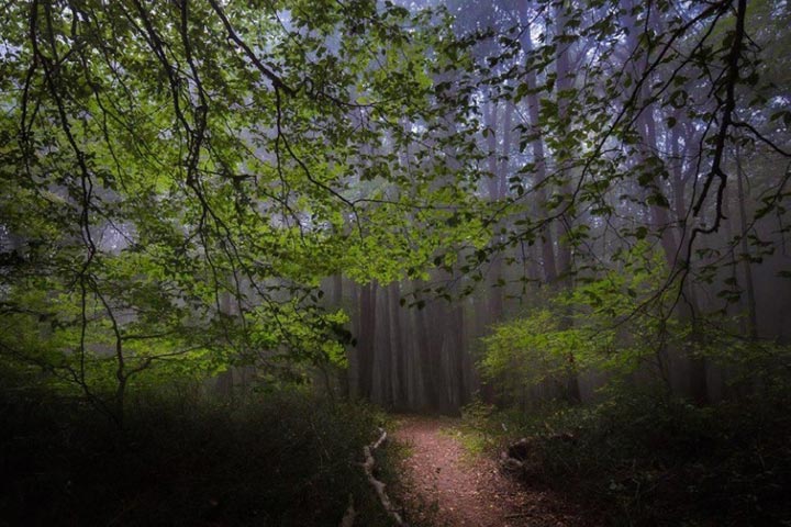 A day trip around Tehran - Alimestan forest