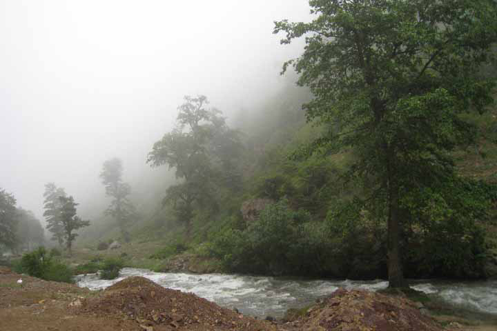 Sights of Kelardasht - Magel Forest