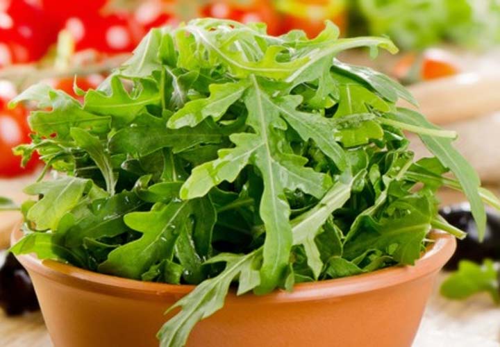 آخر تابستان چه سبزیجاتی بکاریم؟ - یکی از سبزیجات مناسب برای کاشتن در این فصل شابانک است.