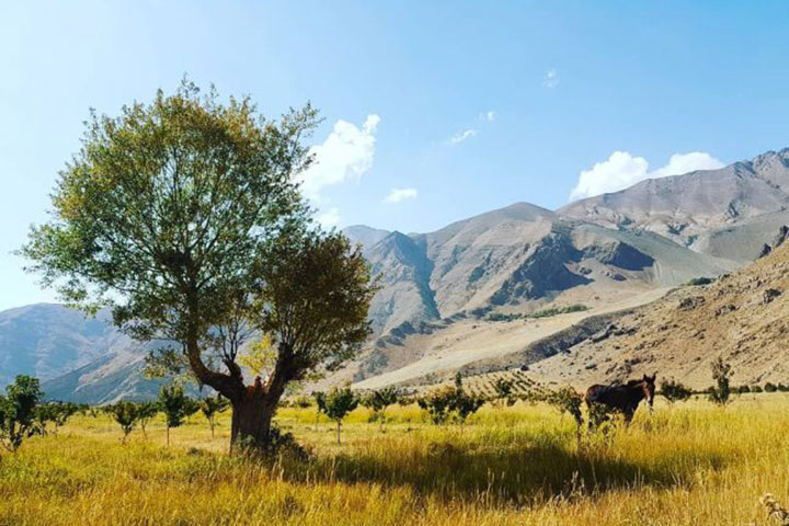 روستای افجه - سفر یک روزه اطراف تهران