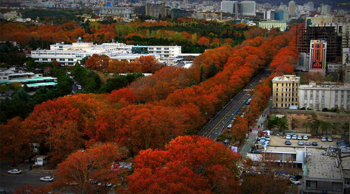 خیابان ولیعصر یکی از جاهای دیدنی تهران در بهار