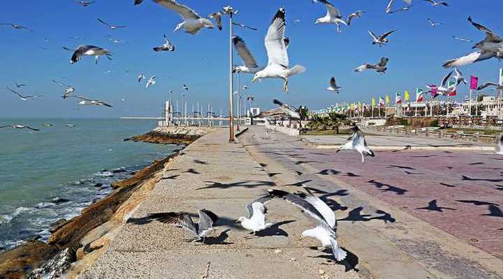 دیدنیهای جنوب ایران - سواحل بوشهر