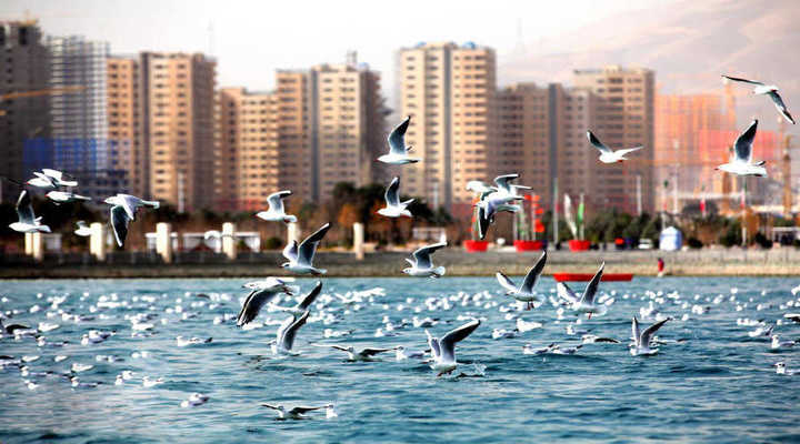 دریاچه چیتگر یکی از جاهای دیدنی تهران در بهار