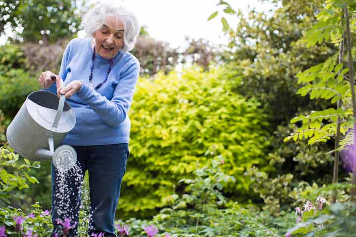 باغبانی بهترین سرگرمی برای سالمندان