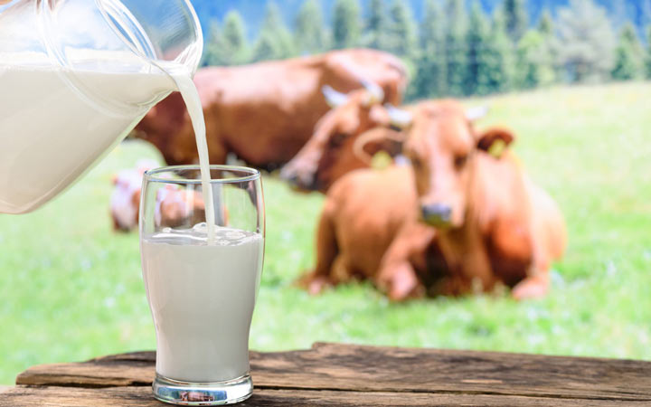 شیر یکی از غذاهای حساسیت زا