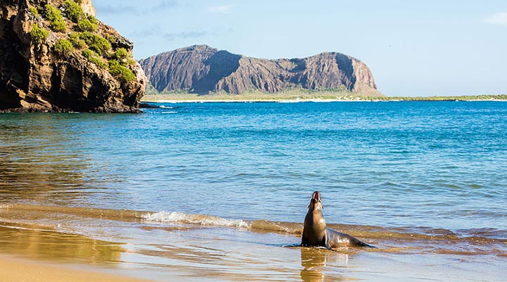 گالاپاگوس - زیباترین جزیره های جهان