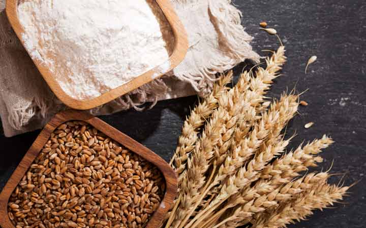 گندم - غذاهای حساسیت زا