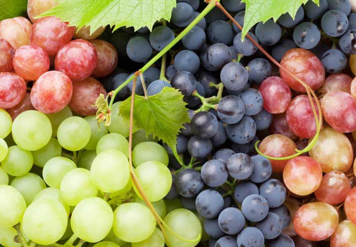 خواص انواع میوه های تابستانی - انگور سرشار از آنتی ‌اکسیدان‌ ها و پتاسیم است.