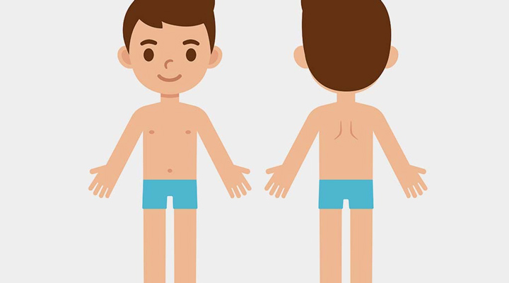 استفاده از پوستر برای آموزش اعضای بدن به کودکان