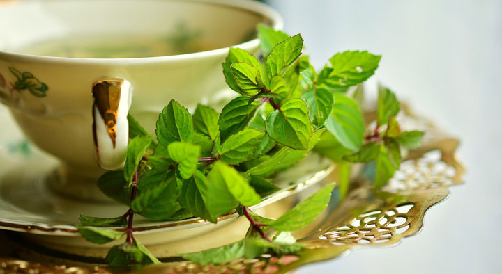 چای مراکشی . خواص چای مراکشی و طرز تهیه آن به روش‌ سنتی در خانه 