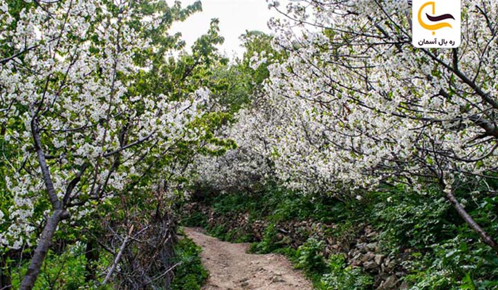 فصل شکوفه ها در روستای زیبای آهار روستای اهار در نزدیکی تهران