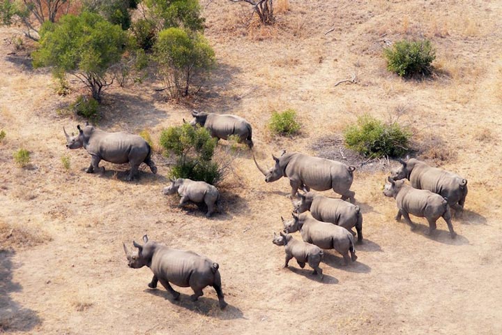 Kruger National Park is one of the tourist attractions of the African continent