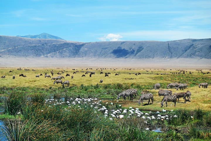 Angoronguro Protected Area is one of Africa's top tourist attractions