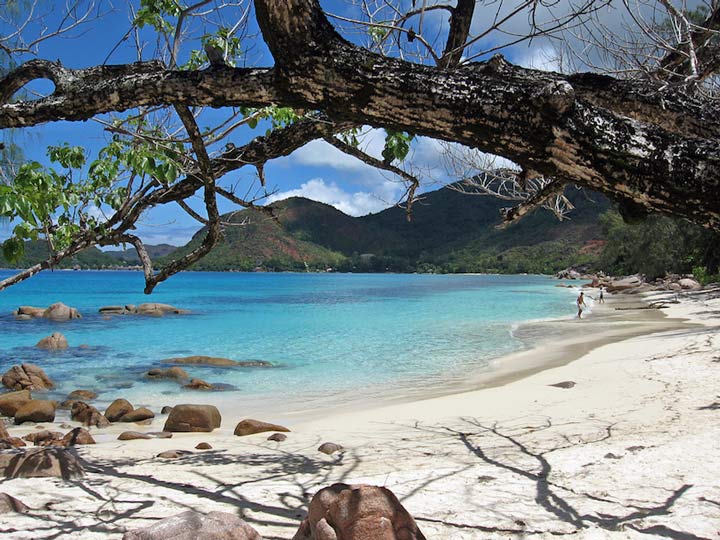 Seychelles porcelain from the sights of Africa