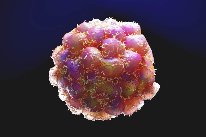 خواص ژلاتین، سلول‌های سرطانی