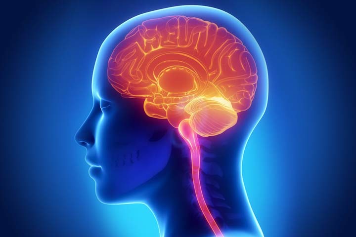 خواص ژلاتین برای سلامتی و بهبود عملکرد مغز