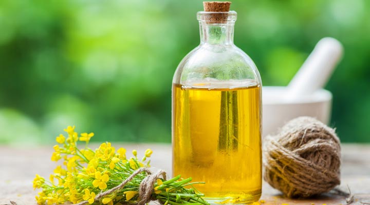 روغن کانولا چیست و چه خواصی دارد؟ چطور از آن در پخت و پز استفاده کنیم؟ - دانه کانولا با ایجاد تغییراتی بر روی دانه کلزا به وجود آمده است.