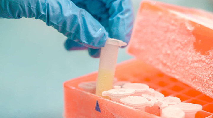 Maintenance of corona vaccine