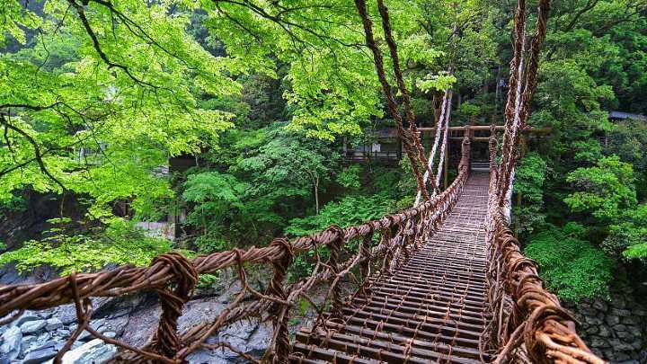 پل ایا کزوراباشی در ژاپن - ترسناک ترین پل های جهان