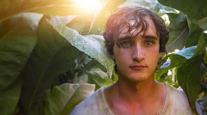 فیلم Happy as Lazzaro