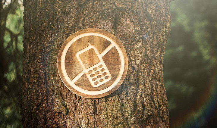 سم زدایی دیجیتال؛ چرا و چگونه باید از دنیای دیجیتال فاصله بگیریم 3 سم زدایی دیجیتال با تغییر سبک زندگی