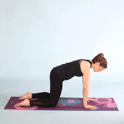 گرم کردن بدن قبل از ورزش؛ چرا و چگونه؟ 4 گرم کردن بدن با پلانک