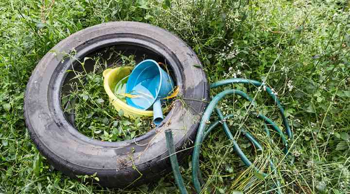 جلوگیری از انباشت زباله یا آب راکد برای پیشگیری از ویروس زیکا