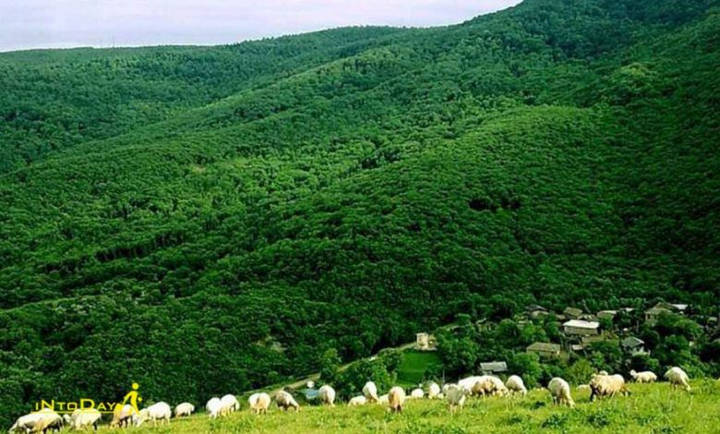 روستای افجه لواسان از بهترین جاهای شبگردی در تهران