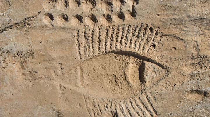 Petroglyphs of Al-Jasasieh - Qatar