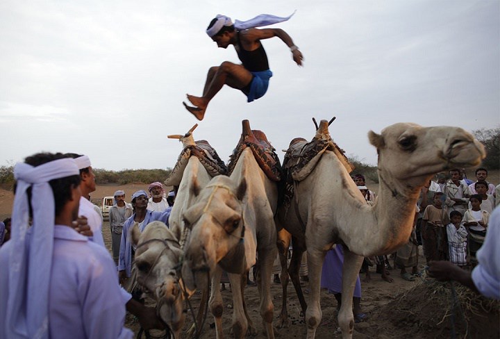 پریدن از روی شتر در یمن از عجیب ترین ورزش های جهان