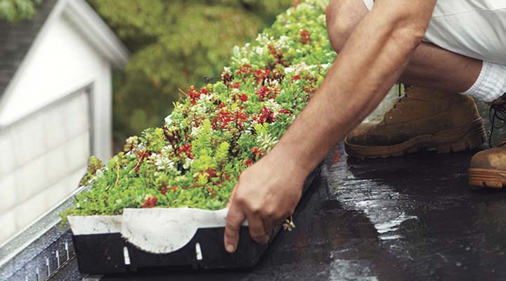 روف گاردن مدولار با گیاهان آماده