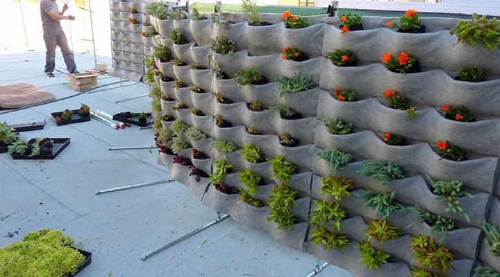 دیوار سبز با سیستم نمدی
