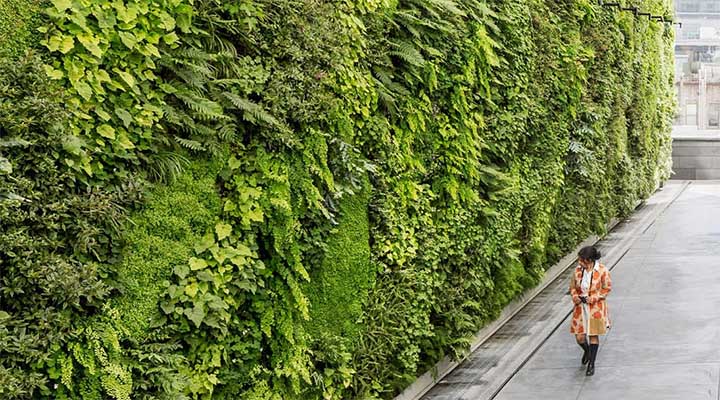 دیوار سبز در فضای عمومی