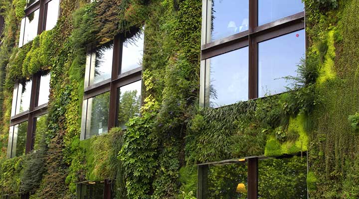 تفاوت نمای سبز با انواع دیوار سبز